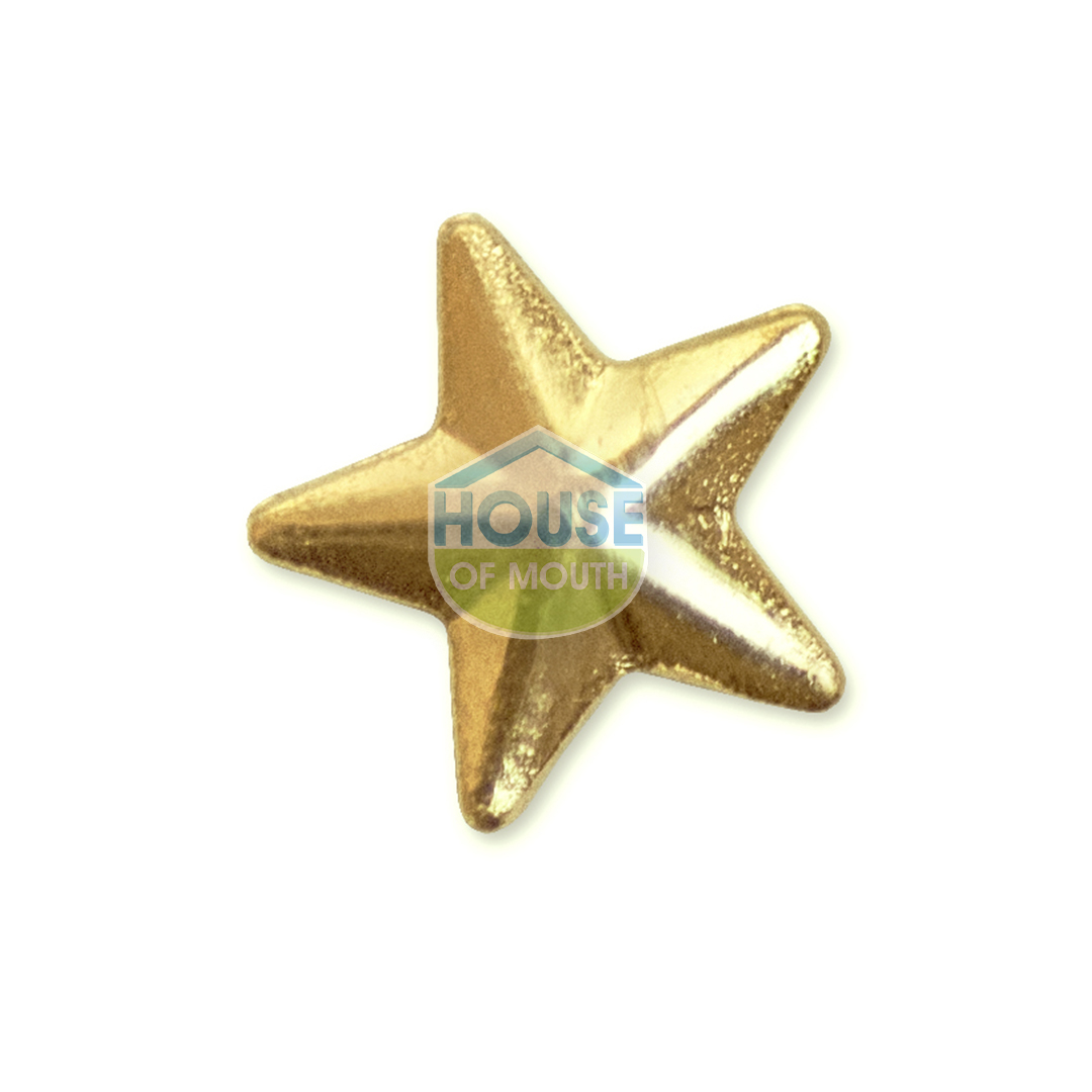 Twinkles 24k Yellow Gold Tooth Gems Large Star